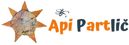 logo API PARTLIC
