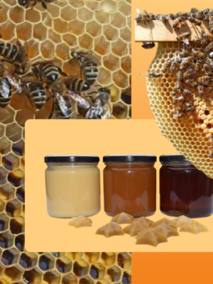 Biodinamična čebelarska družina