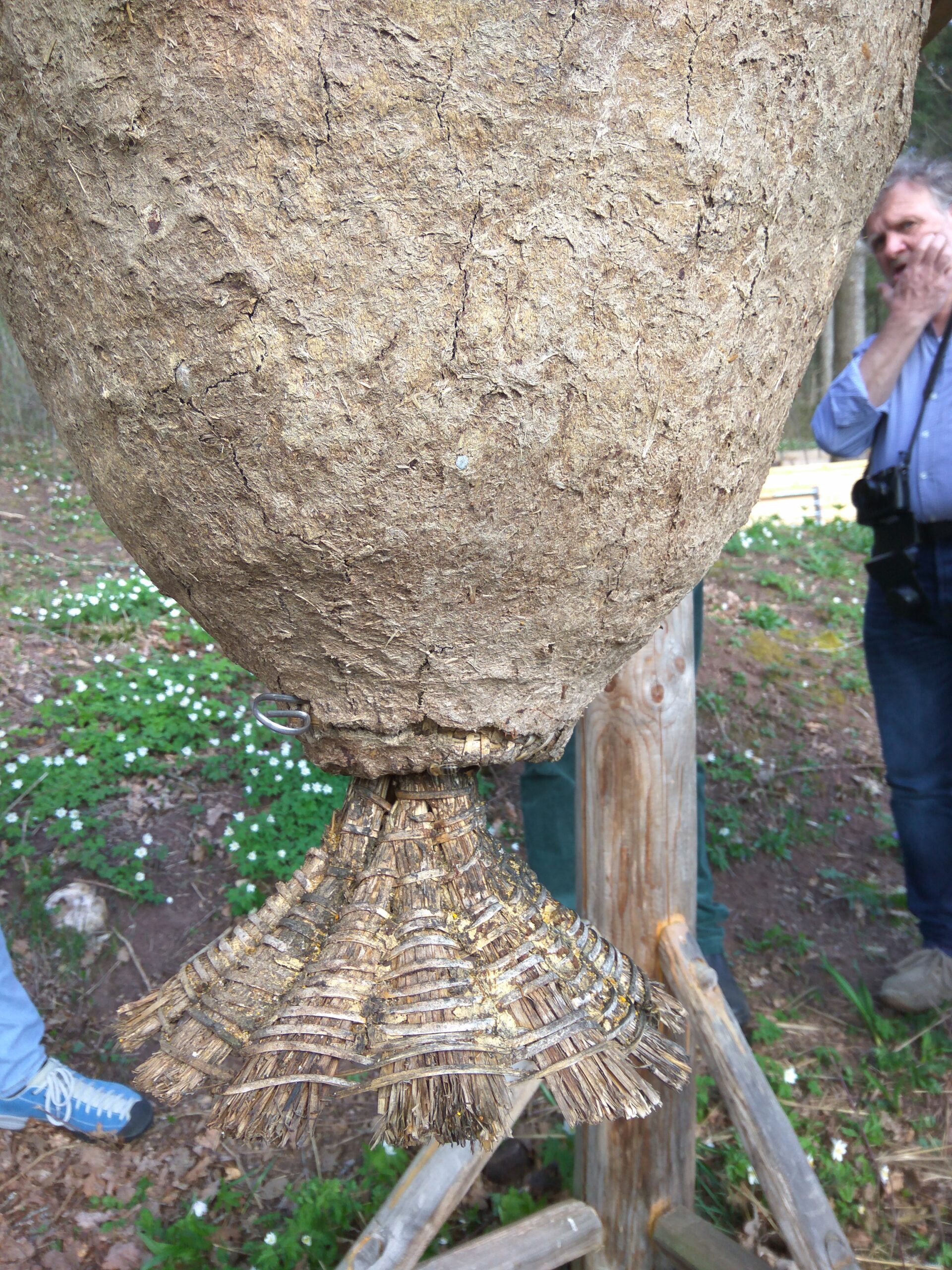 Del sončnega panja na sedežu biodinamičnega čebelarskega društva Mellifera
